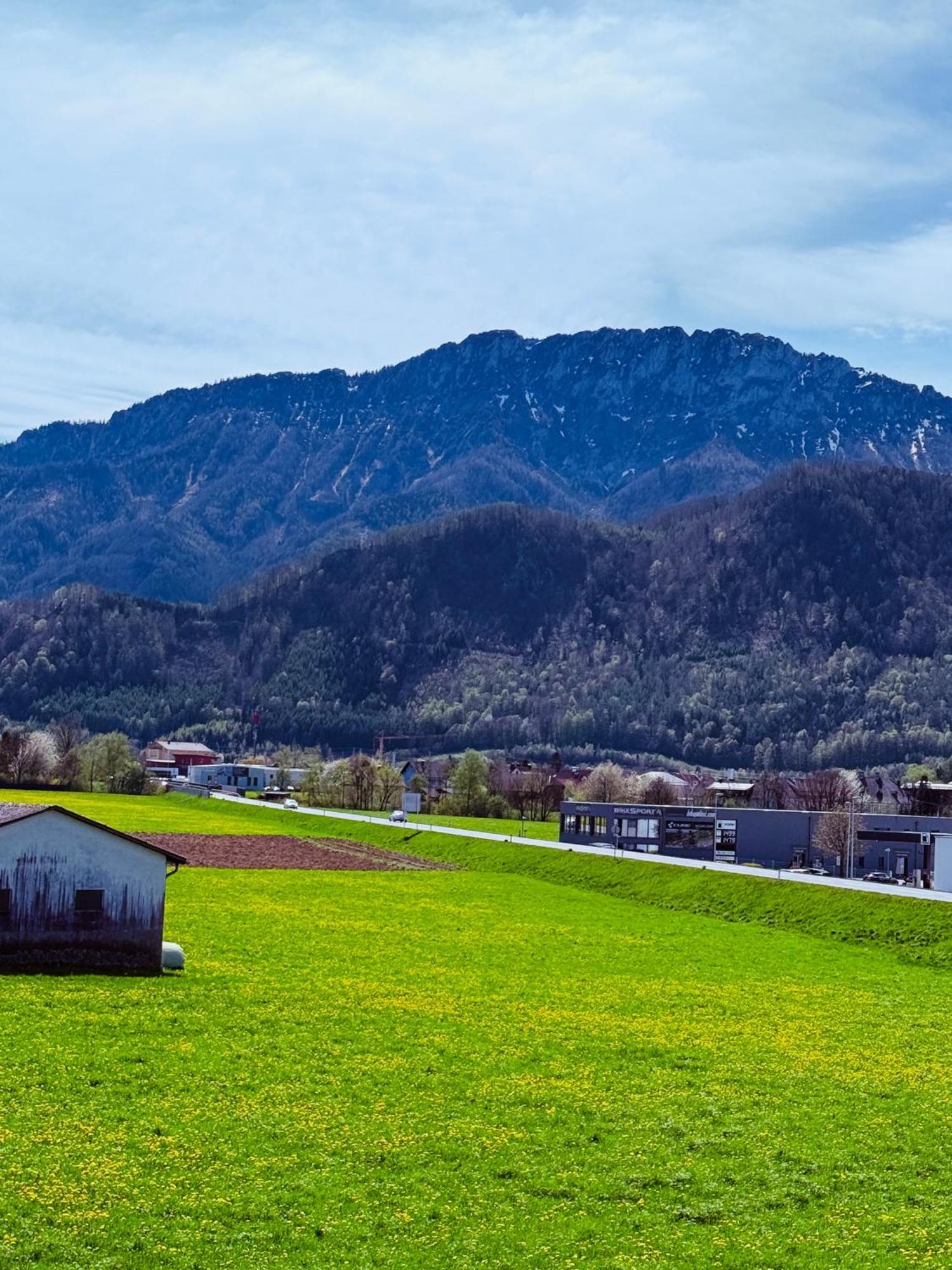 Zentrale Wohnung Mit Alpenblick Micheldorf in Oberösterreich Zewnętrze zdjęcie